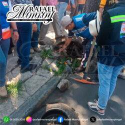 MV_08 de agosto 2023_1